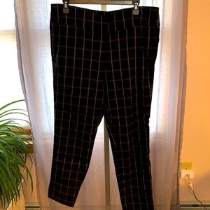 New York & Co. Pull on Trousers